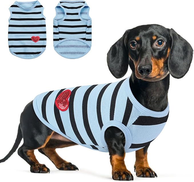 Queenmore Small Dog Shirt,Soft Breathable Dog Shirt for Dogs Cats Boy Girl,Pet Clothes for All Season,Breathable Lightweight Pet Tshirt for Frenchie, Dachshund, Yorkie
