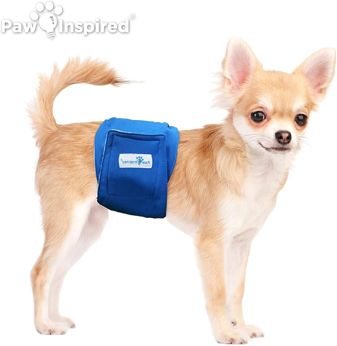 Paw Inspired Ultra Protection Washable Dog Diapers OR Washable Male Dog Wraps (3 Count Male Dog Wraps, X-Small)