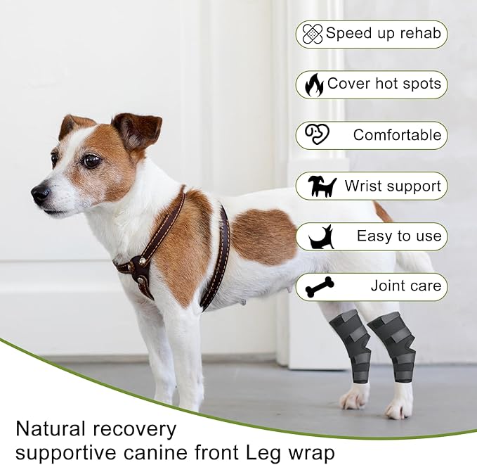 Dog Leg Braces for Rear Leg, Adjustable Dog Leg Sleeve Added Mobility Safety for Active Aging Dogs, Knee Support Straps for Outdoor Adventures Daliy Use Enhanced Stability (M)