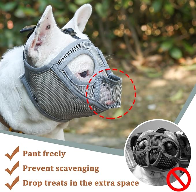 Mayerzon Short Snout Dog Muzzle for French Bulldog with Full Pant Design to Prevent Eating Biting, Soft Mesh Dog Muzzle for Shih Tzu Pug English Bulldog for Grooming Walking, Allow to Drink and Feed