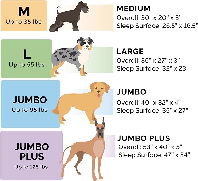 Furhaven Memory Foam Dog Bed for Large/Medium Dogs w/ Removable Bolsters & Washable Cover, For Dogs Up to 55 lbs - Plush & Almond Print L Shaped Chaise - Blue Almonds, Large