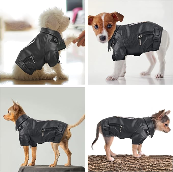 Warm Winter Dog Coat for Small and Medium Sized Dogs - Windproof and Waterproof Puppy Jacket - Cool Pet Clothes - Leather Jacket for Chihuahua and Yorkie - Black Large