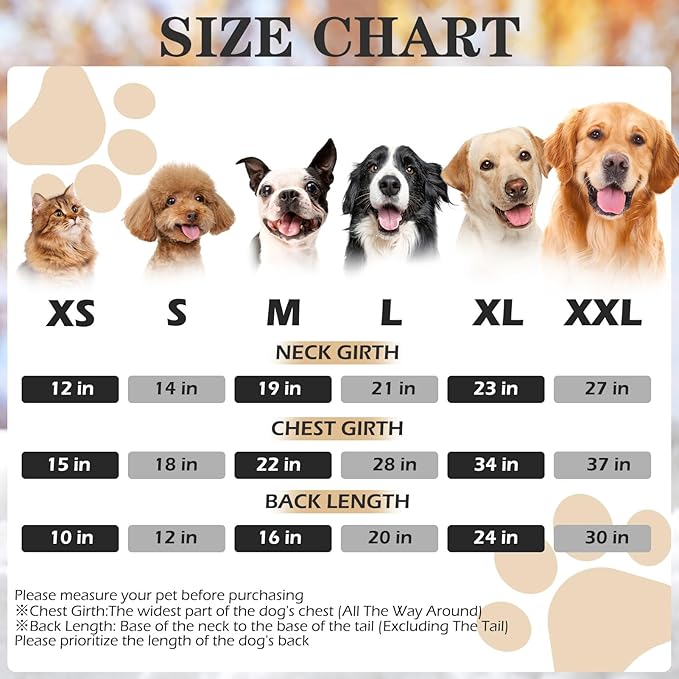 EXPAWLORER Dog Hoodie - Bad to The Bone Lettered, Dog Sweater with Hat, Pet Fall Cold Winter Clothes with Built-in Dog Lead Hole, Pet Warm Outfit for Cats and Small to Large Dogs (X-Large)