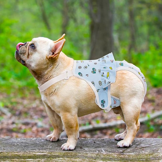 QBLEEV Dog Diapers Female Washable Sanitary Pantie with Adjustable Suspender, Reusable Doggie Diapers for Male Dogs in Heat, Cotton Puppy Pet Period Panties Dog Underwear for Teddy French Bulldog M