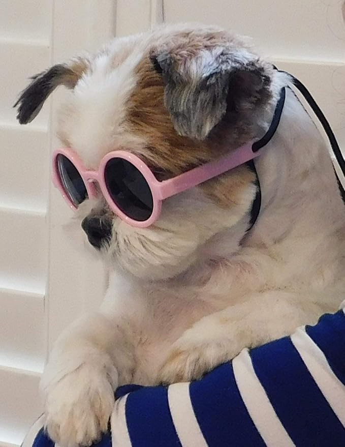 G016 Dog Pet Round Sunglasses Goggles for Small Dogs up to 15lbs (Pink)