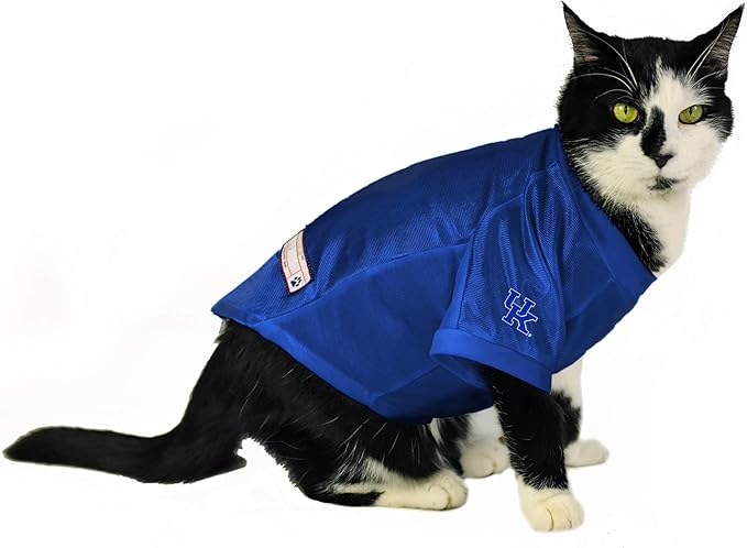 Littlearth NCAA Stretch Pet Jersey