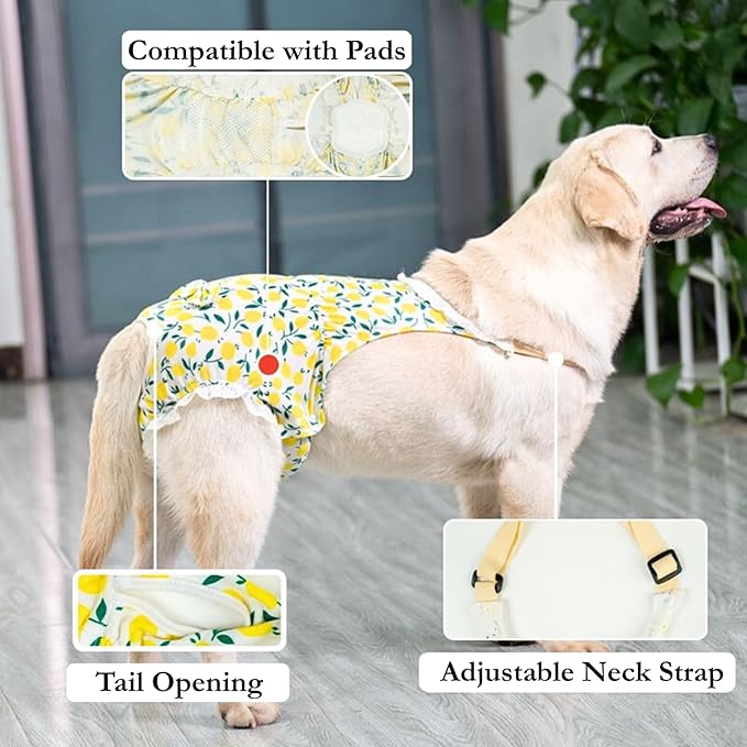 Dogs Heat Protection Washable Onesie Suit, Period Care (with Pads) for Female, Behavioral Control (with Diapers) for Male (red,4XL)