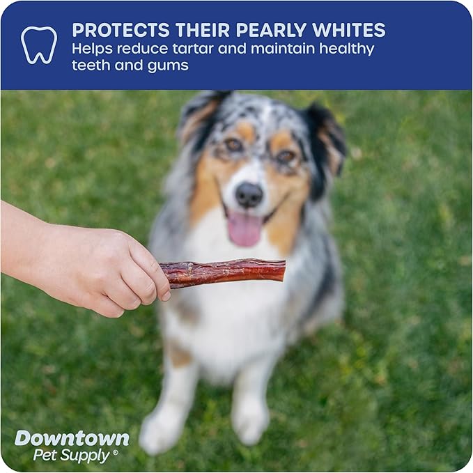 Downtown Pet Supply Bully Stick - 12 REGULAR - 100 Pack -SOUTH AMERICA & TURKEY