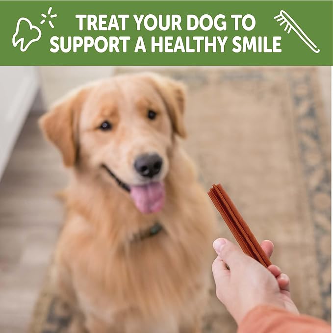Whimzees Wellness Stix Dog Dental Treats, Natural Chews, Large Size Stick, (7 Count)