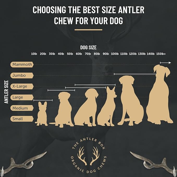 The Antler Box Premium Deer Antler Dog Chews (1 lb Bulk Pack) (X-Large (2 Antlers)