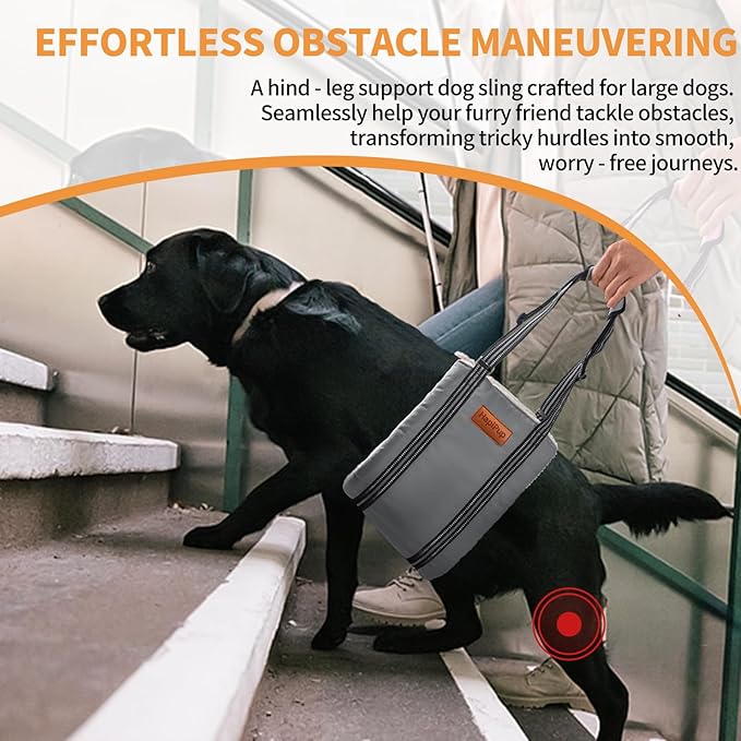 Dog Lift Harness for Large Dogs, Adjustable Comfortable Dog Sling with Handle, Knee & Rear Leg Support for Torn ACL Rehabilitation, Weak Rear Legs, Helps Senior, Disabled Canines(Grey,M)