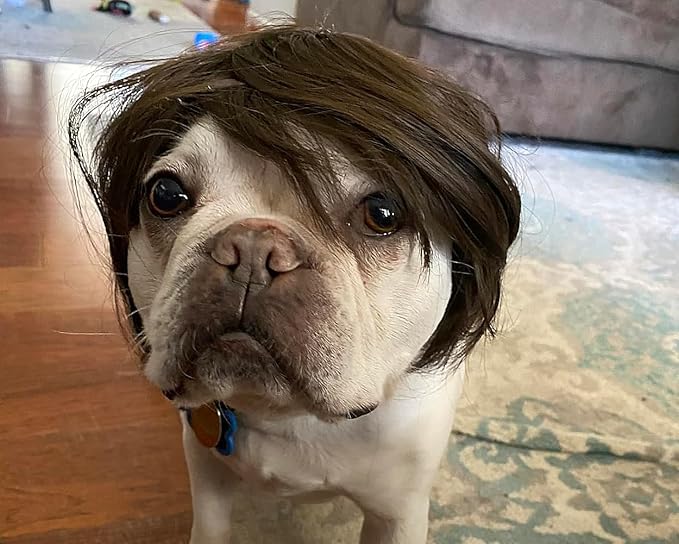 DS. DISTINCTIVE STYLE Dog Wig for Small and Medium Breeds Trimmable Pet Costume Accessories Cat Cosplay Prop for Halloween, Christmas and Dress Parties, Black