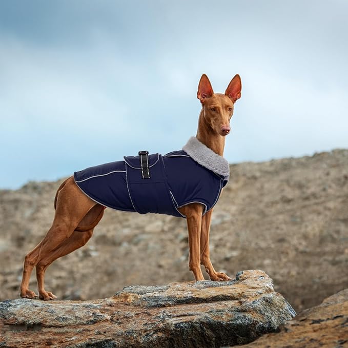 Lelepet Warm Dog Coat Waterproof Dog Jacket for Large Dogs Reflective Fleece Vest with Adjustable Buckle Hook & Loop Windproof Cold Weather Coats for Small Medium Large Dogs, Navy Blue, XL