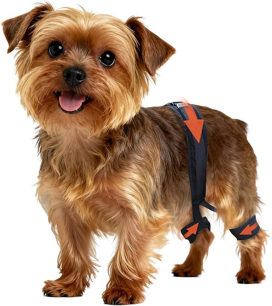 Dog Hip Brace for Hip Dysplasia, Adjustable Dog Hip Support Brace with Targeted Compression, Stabilizes Joints, Relieves Pain from Arthritis, S