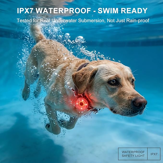 Pro Dog Collar Light IPX7 Waterproof, USB-C Rechargeable 4-Color Steady/Flashing Dog Light Up Collar, Upgraded Anti-Drop Buckle & Strap Dog Lights for Night Walking, Swimming, Camping