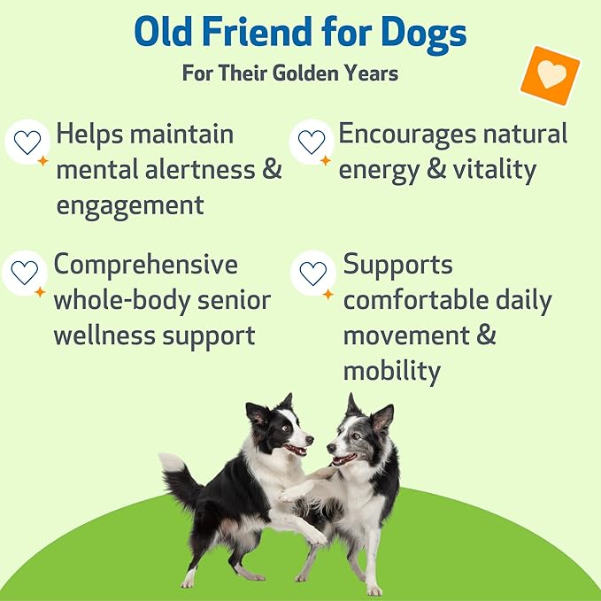 Pet Wellbeing Old Friend for Senior Dogs & Cats- Supports Immune System Health, Joint Mobility, Healthy Energy Levels, Alfalfa, Reishi - Veterinarian-Formulated Herbal Supplement 4 oz (118 ml)