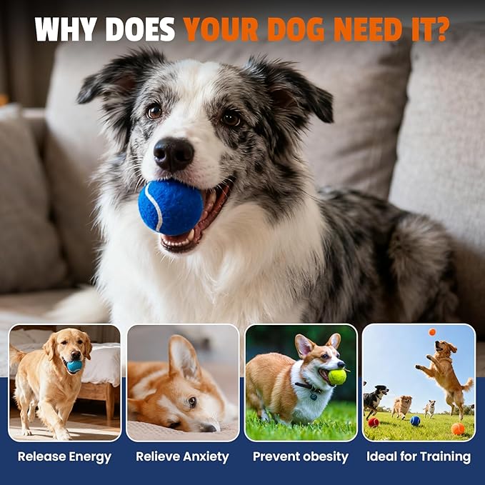 Tennis Balls for Dogs 80 Pack,2.5 inches,Durable and Non-Toxic Dog Toys Balls with Mesh Bag,Colorful Fetch Toys Balls for pet Dog (Non Squeaky)