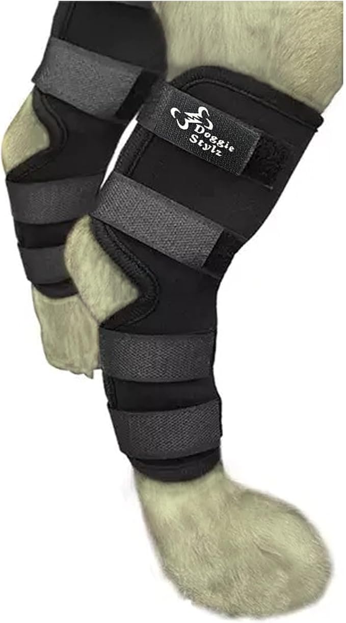 Doggie Stylz Dog Leg Braces for Back Leg Adjustable Dog Hock Brace for ACL Tear Recovery Arthritis Mobility Support Premium Leg Brace for Dogs Back Leg Dog Knee Braces for Back Leg Comfort Stability
