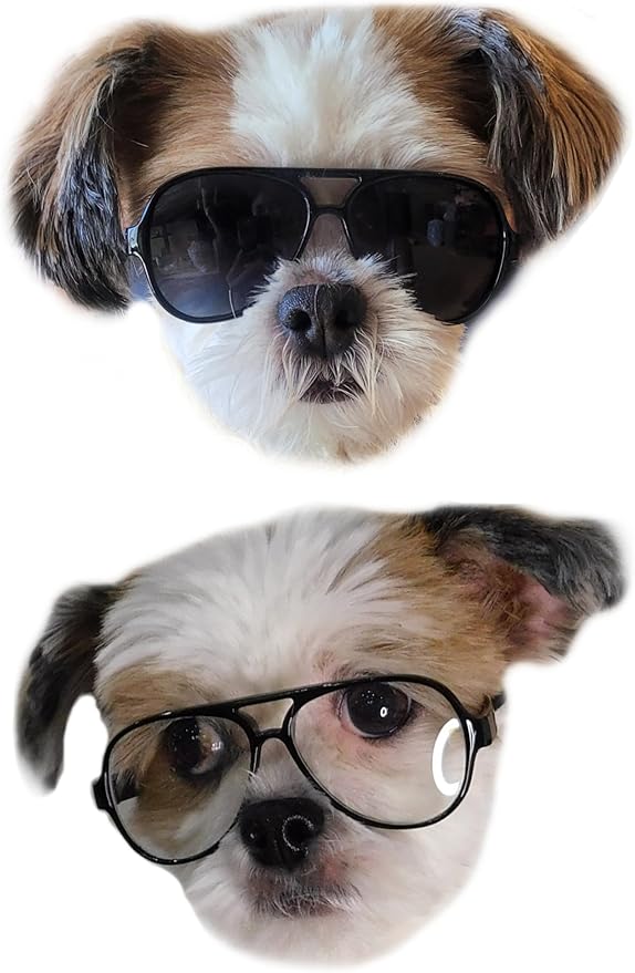 G029 Dog Cat Pet Aviator Pilot Sunglasses Glasses for Small Breeds up to 15lbs (2-Pack Black + Black-Clear Lens)