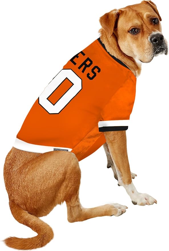 NHL Philadelphia Flyers Jersey for Dogs & Cats, Medium. - Let Your Pet Be A Real NHL Fan!