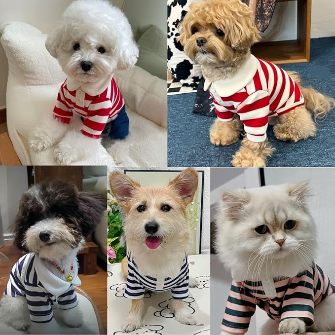 MANON ROSA Dog Clothes, Designer Boy Polo Shirt for Small Medium Dogs, Soft Puppy Outfit, Breathable Male Yorkie Chihuahua Shih Tzu Poodle Kitten Cat T-Shirt, Birthday Gifts - Blue, S, Fit 3-5lbs