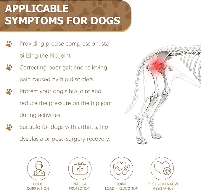 Dog Hip Brace for Hip Dysplasia, Adjustable Dog Hip Support Brace with Targeted Compression, Stabilizes Joints, Relieves Pain from Arthritis, L