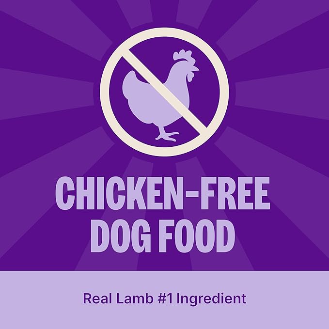Wellness Simple Limited Ingredient Dry Dog Food for Sensitive Stomachs, Supports Skin & Coat, Wholesome Grains, Natural, Lamb & Oatmeal Recipe,(40-Pound Bag)