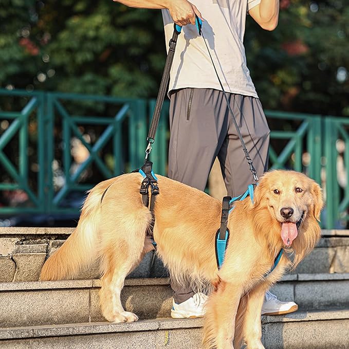 Pet Rehabs Strap for Aging Disabled Dog Nonslip Polyester Senior Mobility Tool for Outdoor Walking Gear Elderly Belt