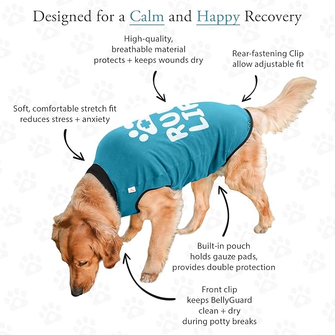 BellyGuard Dog Surgery Recovery Suit, Dog Onesie for Post-Op Care, Recovery Apparel for Female and Male, Surgical Body Cover for Canine Healing Support