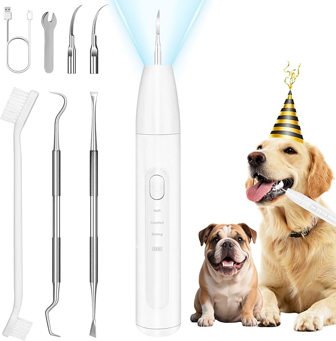 Dog Teeth Cleaning Kit,Dogs Tooth Brushing Kit with Light,3 Modes Doggie Toothbrush, Dog Plaque and Tartar Remover for Teeth,Low Noise Dog Teeth Cleaner,Pure White