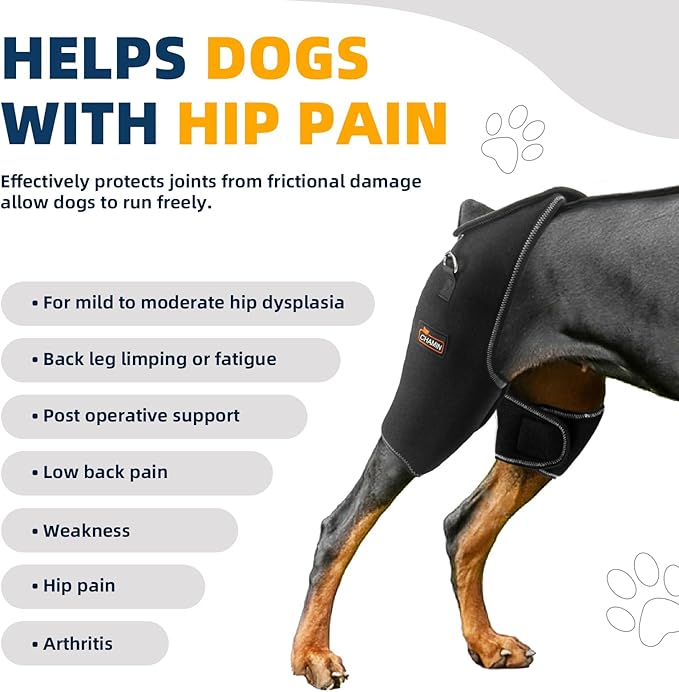 CHAMIN Dog Hip Brace with Back Handheld Design, Support for Hip Dysplasia, Arthritis, Back Leg limping, Reduce Hip Pain & Accelerated Recovery After Surgery etc(Large)