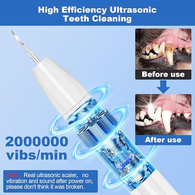 Dog Teeth Cleaning Kit,Dogs Tooth Brushing Kit with Light,3 Modes Doggie Toothbrush, Dog Plaque and Tartar Remover for Teeth,Low Noise Dog Teeth Cleaner,Pure White