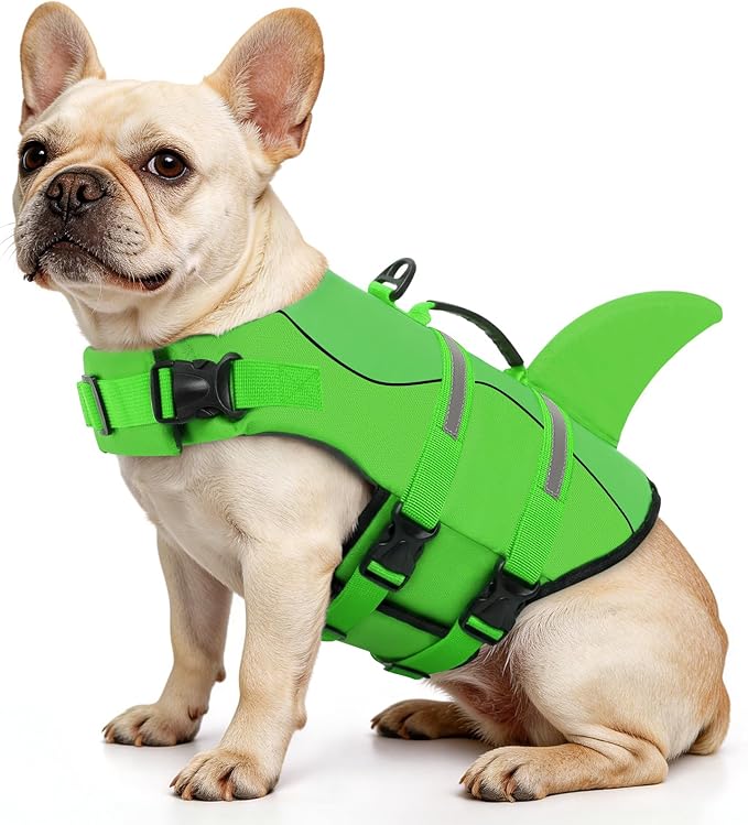 Queenmore Dog Life Jacket High Flotation, Reflective Dog Life Vest for Swimming, Adjustable Dogs Life Preserver Rescue Handle Spring Summer Pool for Small, Medium, Large Dogs (BrightGreen,M)