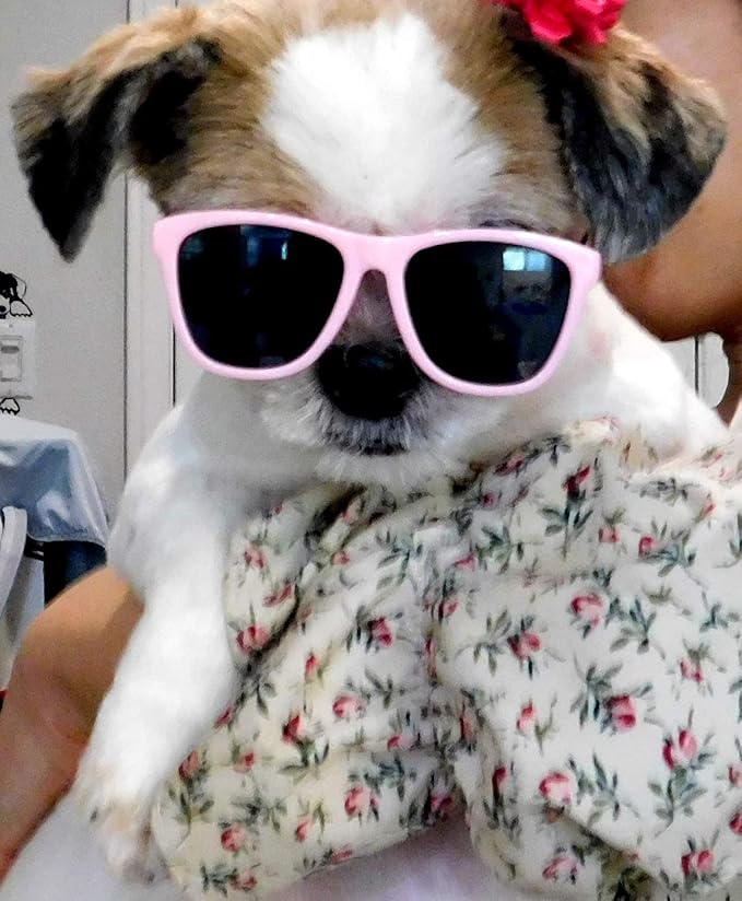 G014 Dog Pet 80s Sunglasses Goggles for Small Dogs up to 15lbs (Pink)