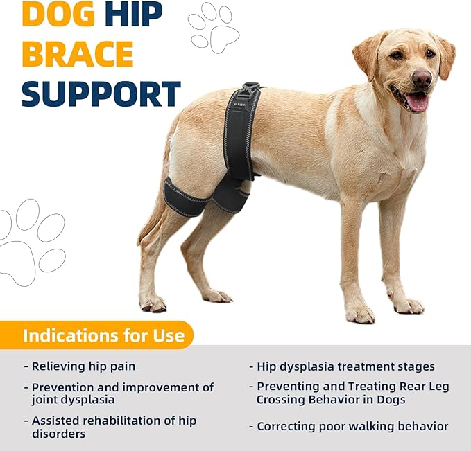 CHAMIN Dog Hip Brace – Support Harness for Hip Dysplasia, Joint Pain Relief, Prevents Hip Joint Issues, Orthopedic Support for Dogs(Small)