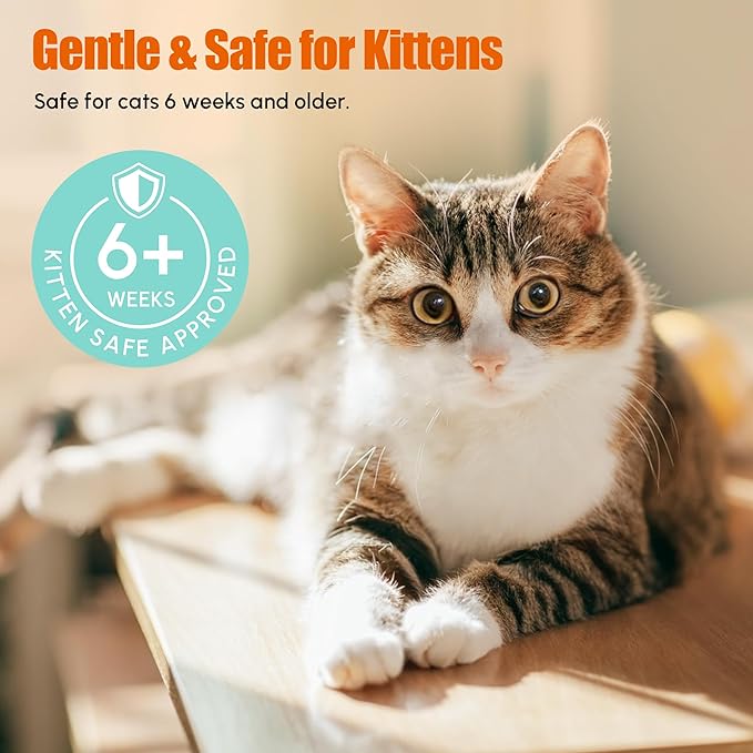 Dewormer for Cats & Kittens Fenbendazole Liquid - Broad Spectrum Suspension - Easy to Mix with Food - Removes Roundworm, Hookworm, Tapeworm - Includes 3ml Dosing Syringe (100ml)