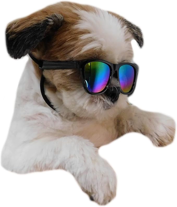G014 Dog Cat Pet 80s Sunglasses Goggles for Small Breeds up to 15lbs (2-Pack Black-Rainbow mr+Crystal Clear-Rainbow mr)