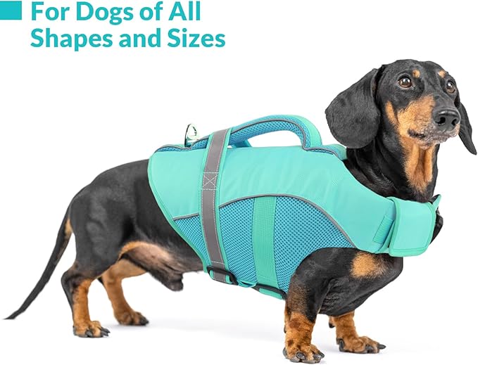 Queenmore Dogs Life Vest for Boating, Adjustable Ripstop Dog Life Jacket, Pet Lifesaver with Superior Buoyancy and Rescue Handle, Swimming Vest for X-Large Dogs（LightBlue,XL）