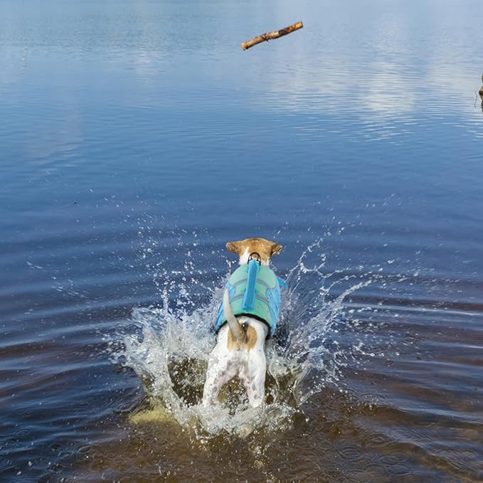 Queenmore Shark Dog Life Jacket, Dog Life Vests for Boating, High Buoyant Pet Life Vest for Swimming, Adjustable Easy On Life Jackets for Small, Medium, Large Dogs (Pool Blue,L)