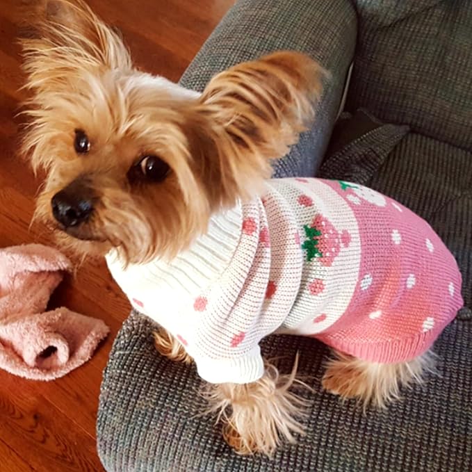 CHBORCHICEN Pet Dog Sweaters Classic Knitwear Turtleneck Winter Warm Puppy Clothing Cute Strawberry and Heart Doggie Sweater (Pink, XX-Small)