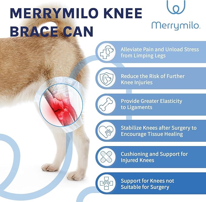 Dog Knee Brace for Torn ACL – Rear Leg Support for Ligament Injuries and Joint Pain Relief, Size: Large(10.2-13.3)