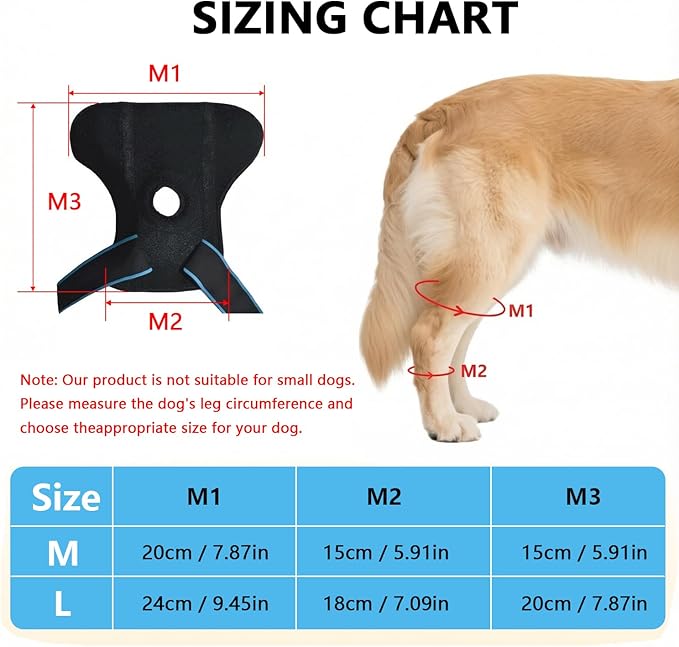 Dog Knee Brace for Back Leg, ACL Support for Large Dogs, Adjustable Dog Leg Brace for Hind Leg Injuries, Canine Joint Wrap for Arthritis Recovery (M)