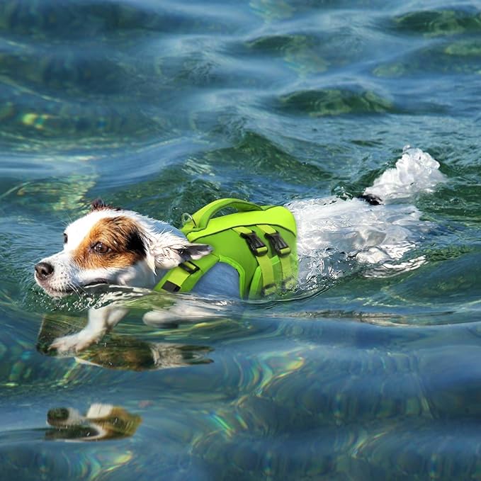 Queenmore Dog Life Jacket Medium,Dog Flotation Vest for Medium Dogs,Ripstop Dog Lifesaver with Rescue Handle,Dog Swimming Vest(Green,M)