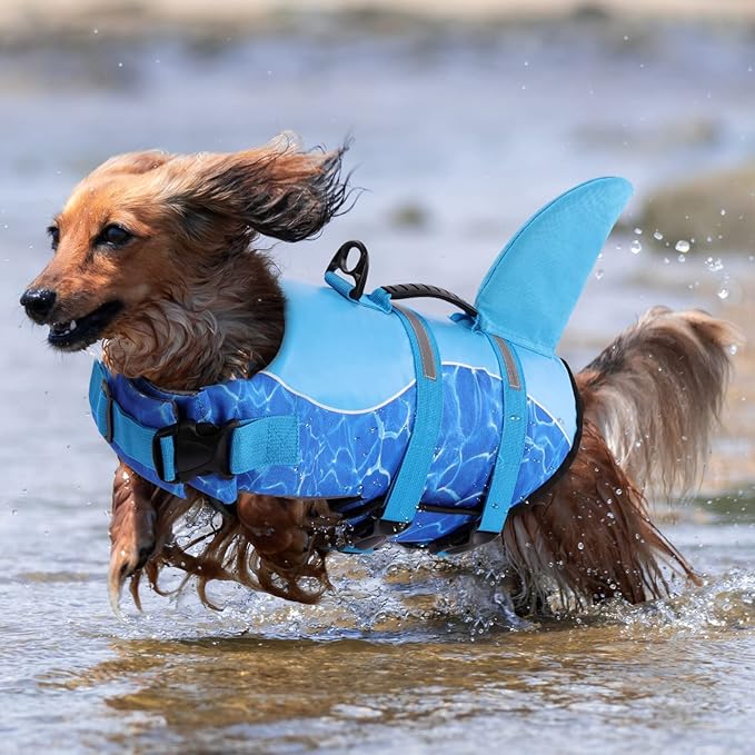 Queenmore Shark Dog Life Jacket - Adjustable Dog Swimming Vest for Small, Medium, Large Dogs (Blue)