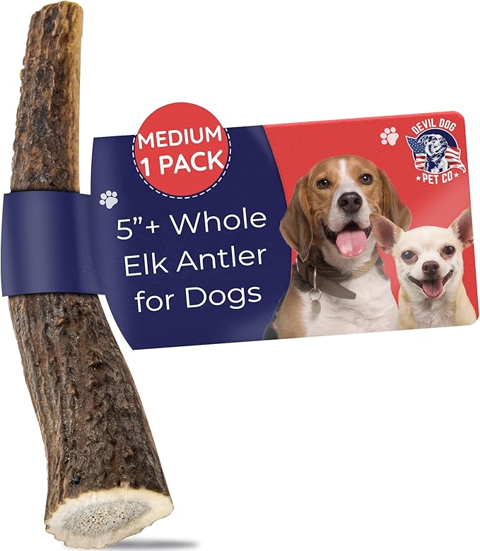 Devil Dog Pet Co - Elk Antler for Dogs Medium - Long Lasting Dog Chew for Aggressive Chewers, Small to Medium Breeds - Naturally Shed Grade A Rocky Mountain Elk, Anxiety & Boredom Relief (15-40 lbs)