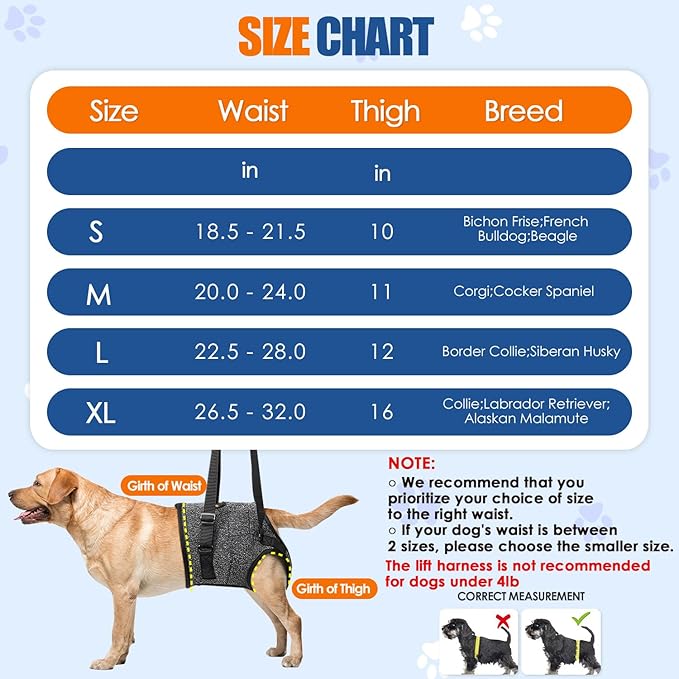 SlowTon Dog Lift Harness - Adjustable Dog Sling for Medium Large Dogs, Hind Leg Support to Help Rehabilitate, Soft Padded Dog Support Harness for Elderly, Injured, Arthritic, Disabled Dogs, M