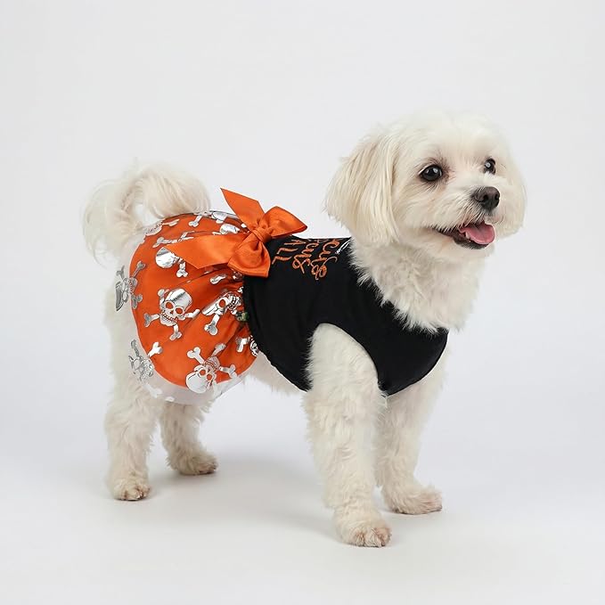 Fitwarm Hocus Pocus Y'all Funny Dog Halloween Tulle Dress, Holiday Dog Clothes for Small Dogs Girl, Funny Pirate Skull Pet Costume, Witch Cat Outfit, Orange, Black, XS