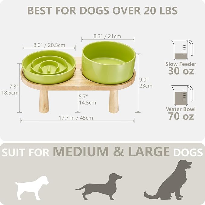 Ceramic Slow Feeder and Water Bowl Set for Medium and Large Dogs, 8.0 Inches Ceramic Dog Bowls Elevated with Wooden Stand, 2.0 Cups Dog Slow Feeder(30oz) and 70oz Water Bowl Set, Green