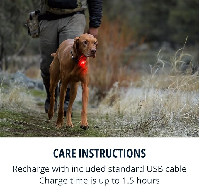 Ruffwear, Beacon Safety Light for Dogs, Clear Lake
