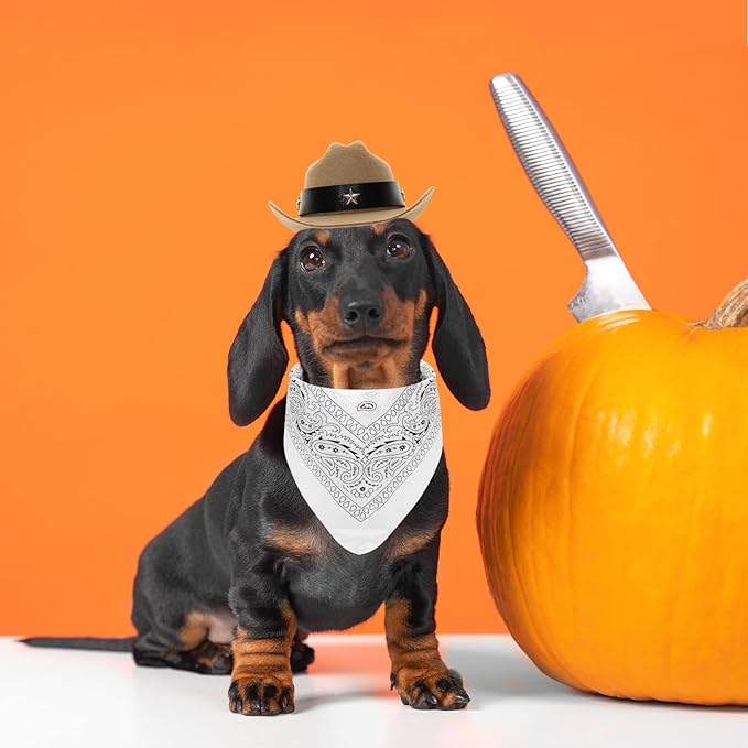 Fumwase Pet Cowboy Costume Halloween Costumes for Dogs Cat Puppy Hats with Bandana Scarf Cowboy Costume Accessories Dog Cat for Party Festival and Daily Wearing (Off-White, Small)